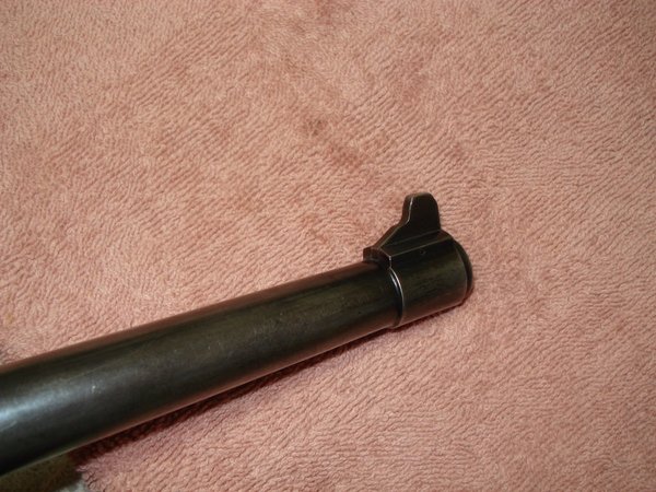 010 Front Sight Oblique.JPG