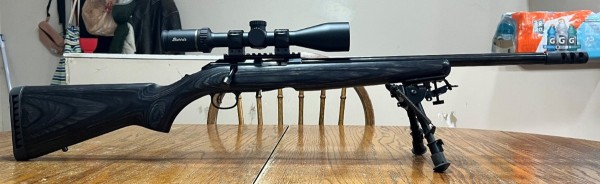 American Target 22Mag.jpg