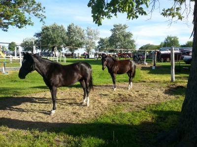 20140523_184752 (400x300)
