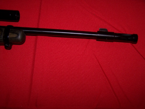 007 (500x375).jpg