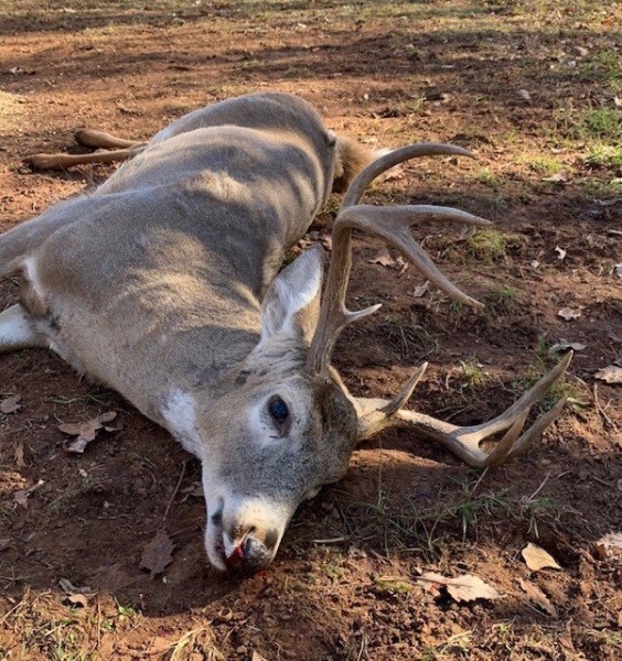 8 point.jpg