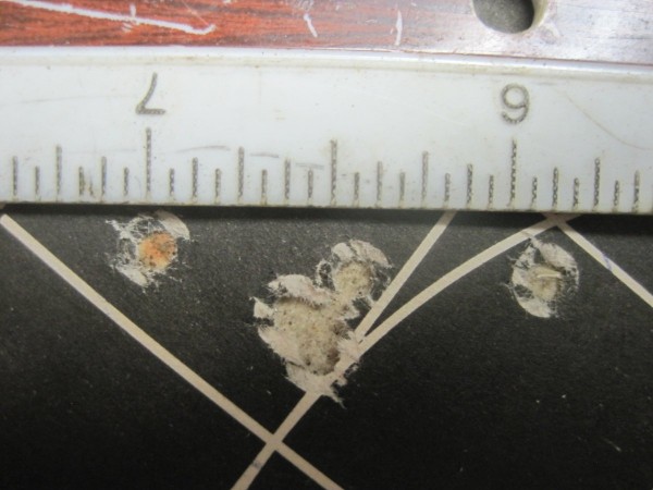 ruger 1B 22 Mag Federal 50gr HP Game Shok 100yds Aug 2017.JPG